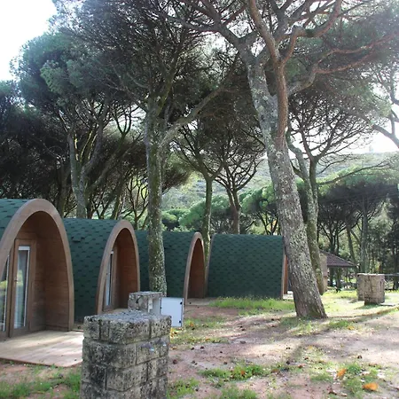 ラグジュアリーテント Montejunto *